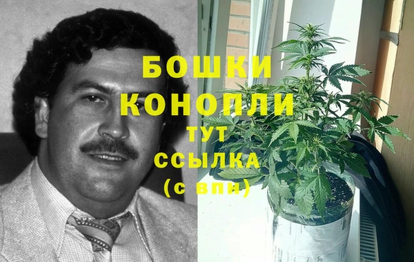 ALPHA-PVP Верхний Тагил